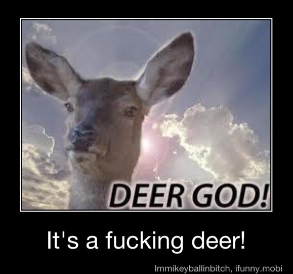 Fucking A Deer