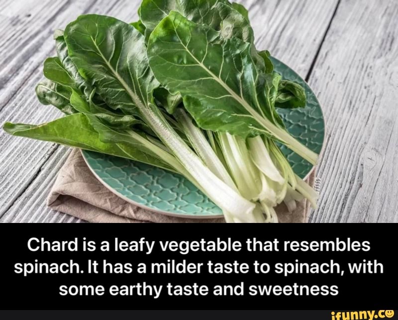 D.. FA
Chard is a leafy vegetable that resembles spinach. It has a milder taste to spinach, with some earthy taste and sweetness - Chard is a leafy vegetable that resembles spinach. It has a milder taste to spinach, with some earthy taste and sweetness