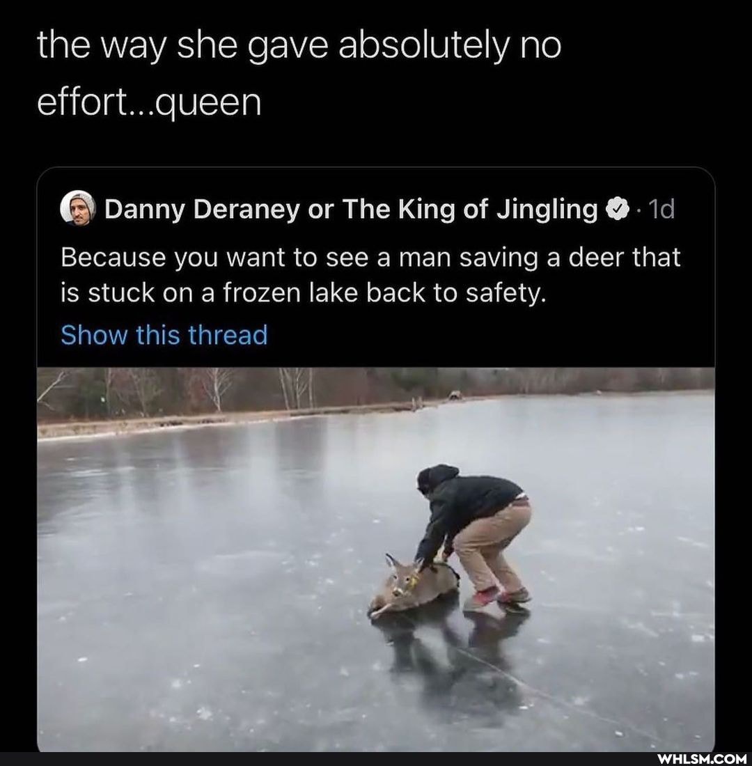 the way she gave absolutely no effort...queen
Danny Deraney or The King of Jingling - id
Because you want to see a man saving a deer that is stuck on a frozen lake back to safety.
Show this thread