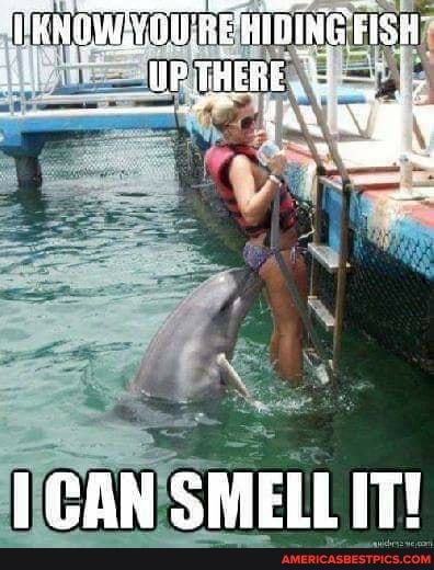 RE GITINEE fISH
[CAN IT!