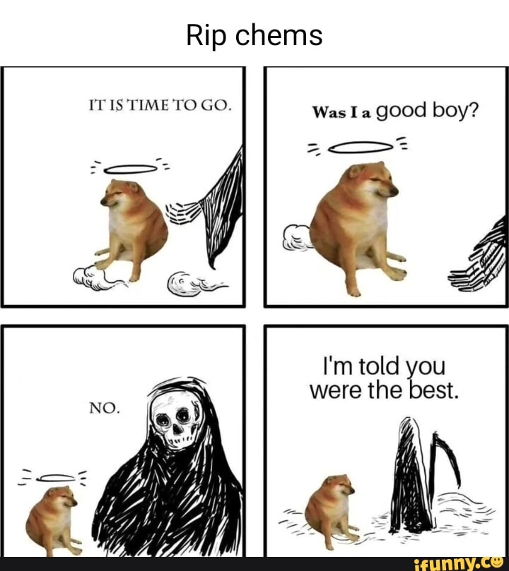 Rip chems IT IS TIME TO GO. Was good boy? I'm told you were the best ...