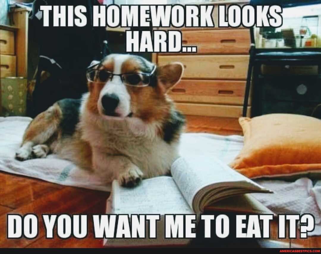 THIS HOMEWORKILOOKSs
HARD