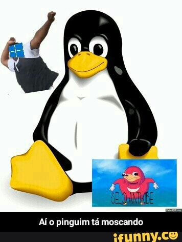 Aí o pinguim tá moscando - Aí o pinguim tá moscando