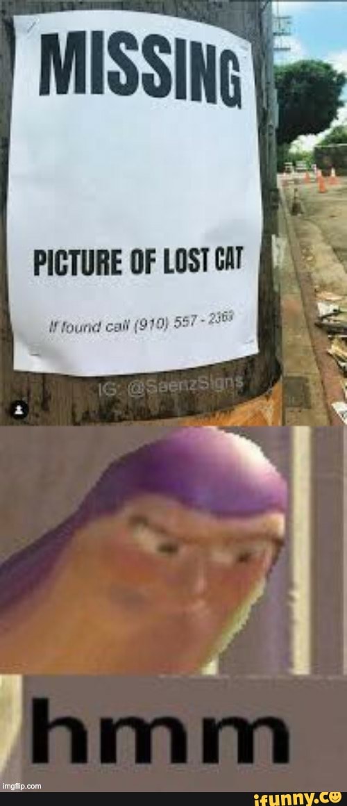 PICTURE OF LOST CAT
Iffourel call (919) 557