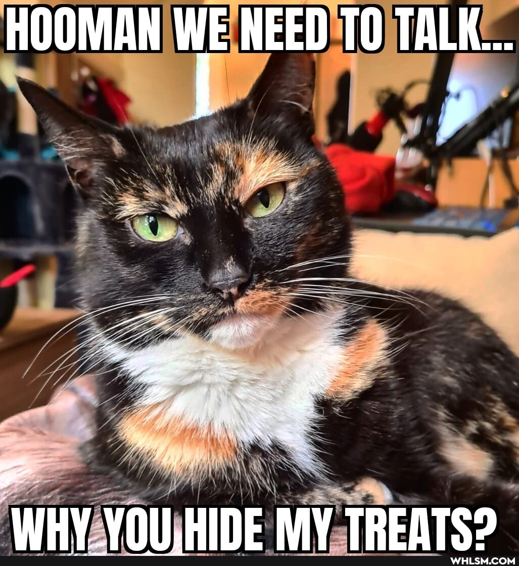 HOOMAN NEED TALK...
HE
ge
WHY VOILHINE MV TREATS9