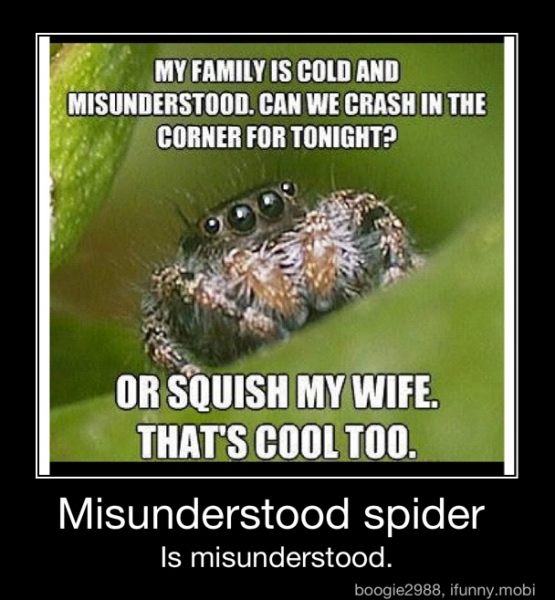 Misunderstood spider Is misunderstood. - Misunderstood spider Is ...