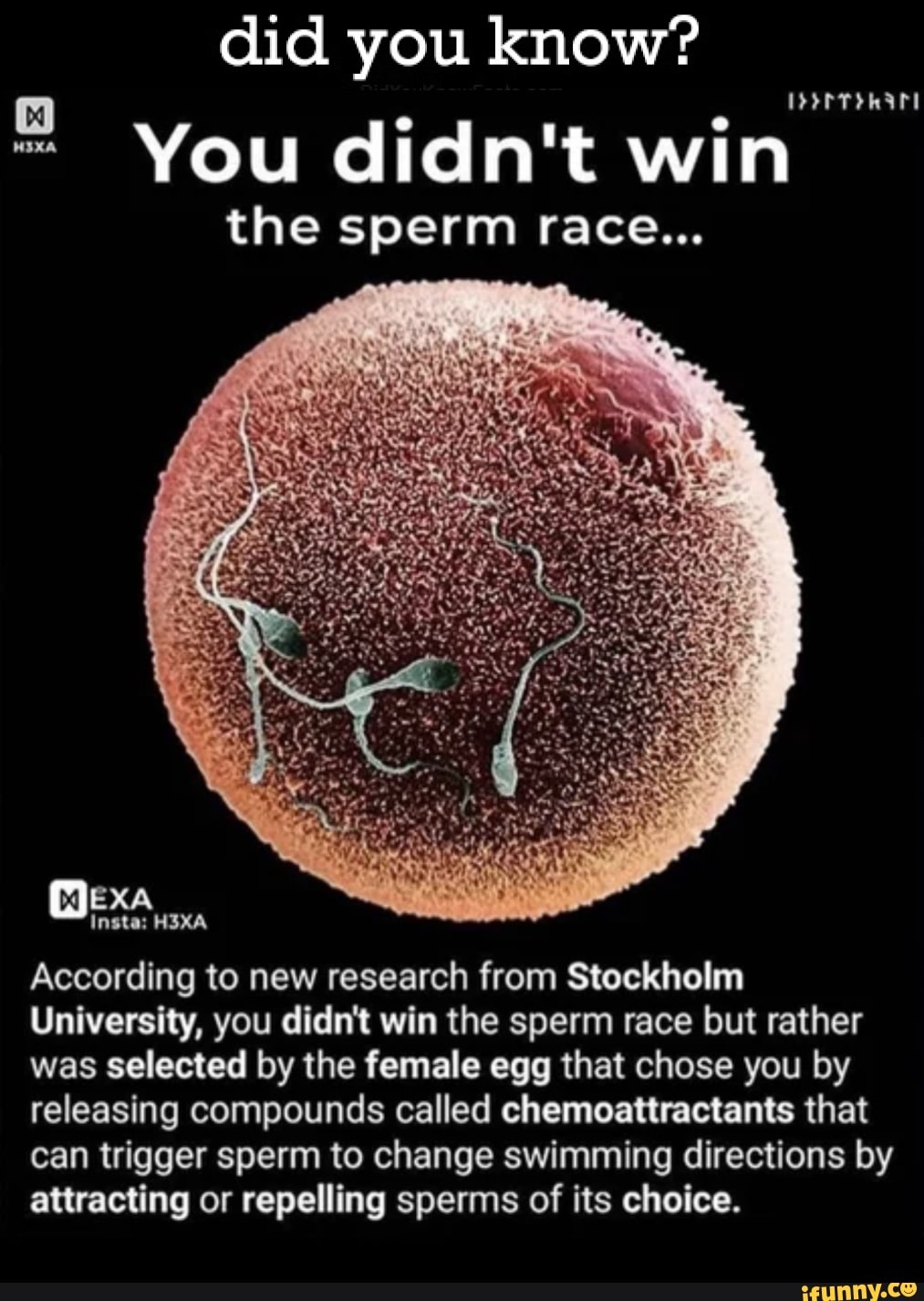 Did You Know You Didn T Win The Sperm Race Exa According To New Research From Stockholm
