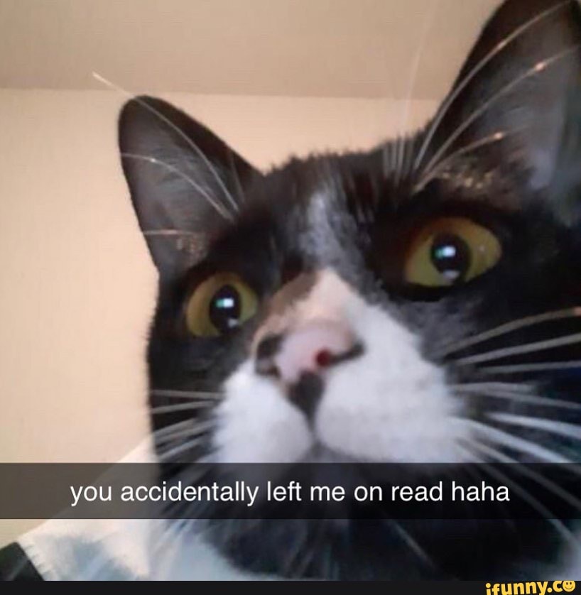 You accidentally left me on read haha - iFunny