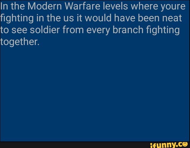 In the Modern Warfare levels where youre
fighting in the us it would have been neat
to see soldier from every branch fighting
together.