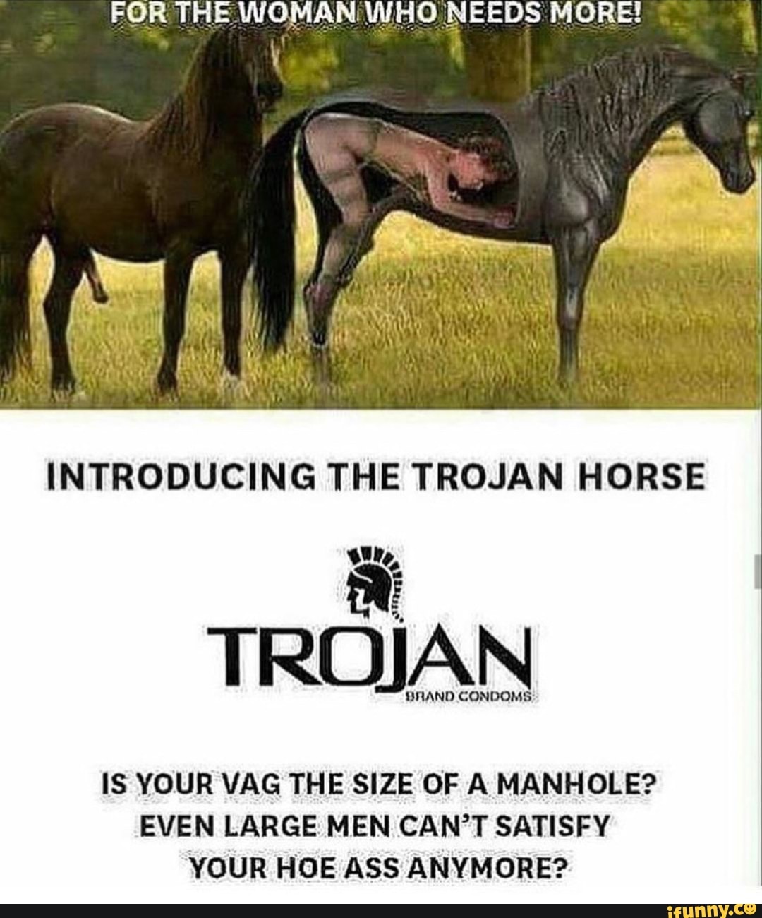 Horse Vore Porn - INTRODUCING THE TROJAN HORSE \