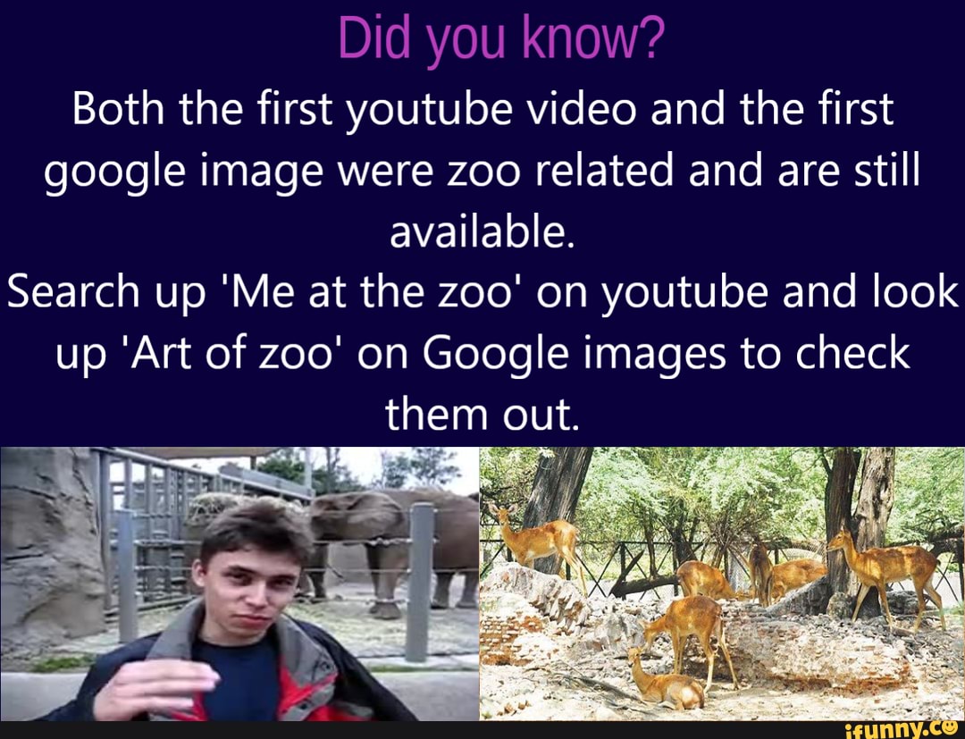 Did you know? Both the first youtube video and the first google image were  zoo related