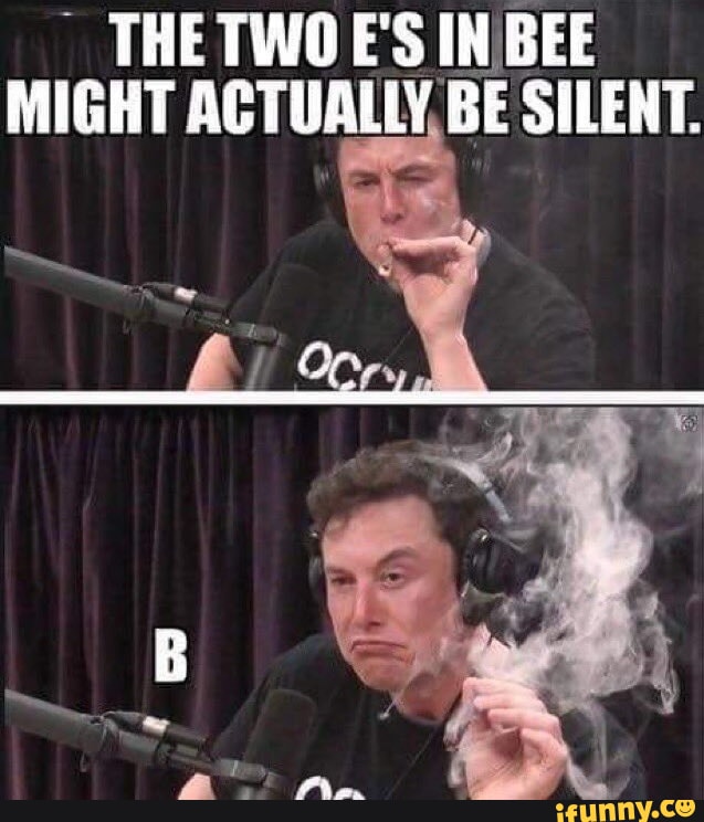 THE TWO E'S IN BEE MIGHT ACTUALLY BE SILENT. - iFunny