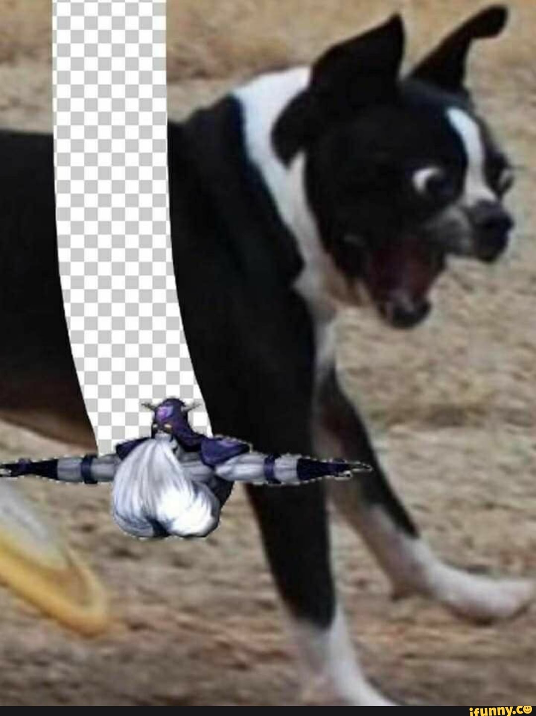jojosbizarreadventure, stardustcrusaders, jjba, iggy