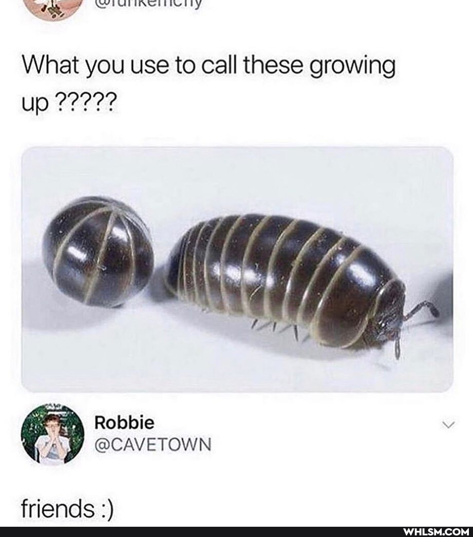Hill
What you use to call these growing
Robbie
@CAVETOWN
friends