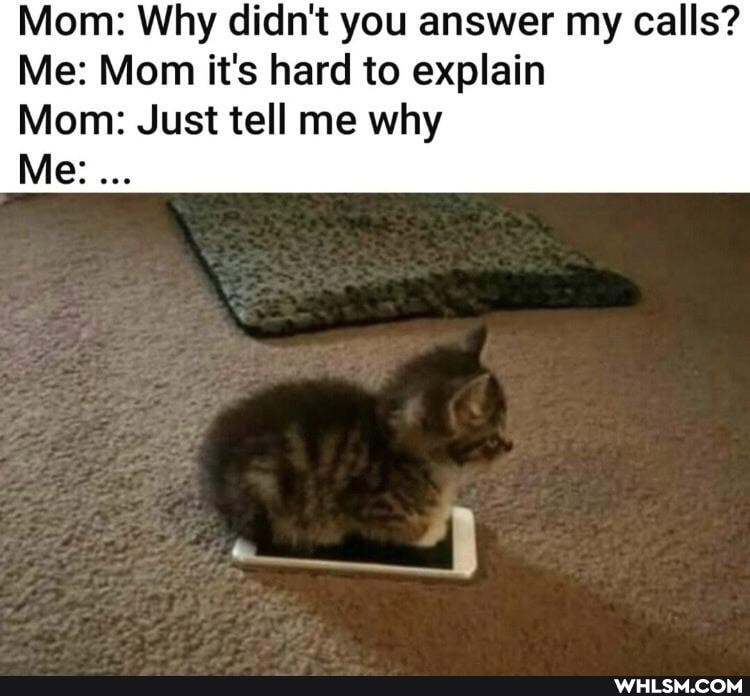 Mom: Why didn't you answer my calls?
Me: Mom it's hard to explain
Mom: Just tell me why
Me: