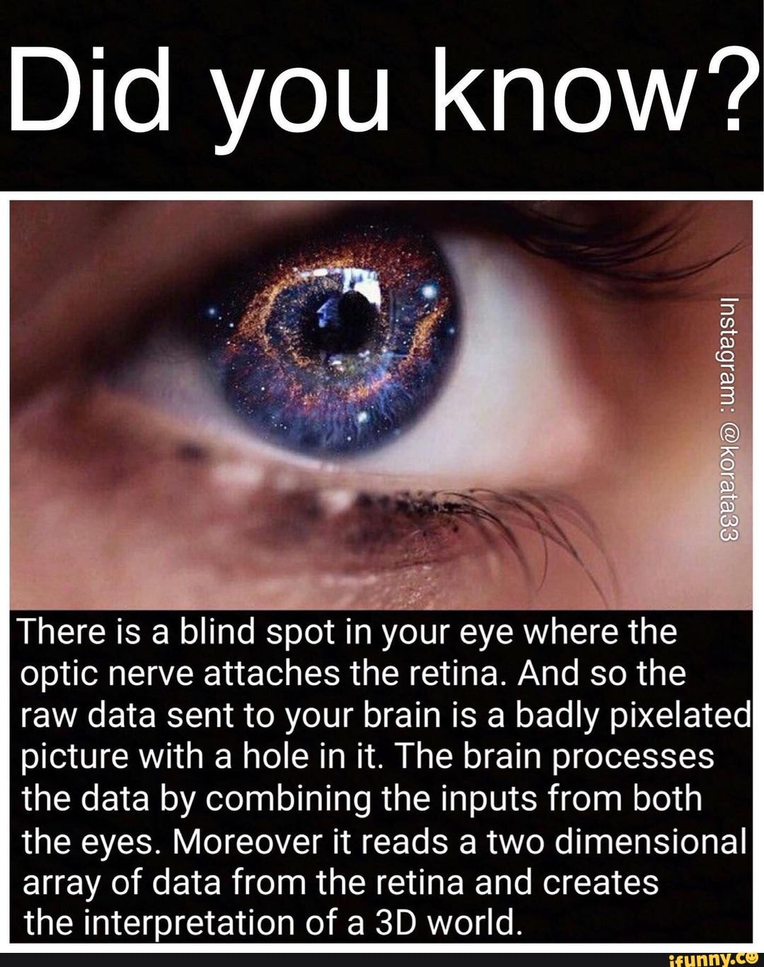 did-you-know-fad-there-is-a-blind-spot-in-your-eye-where-the-optic