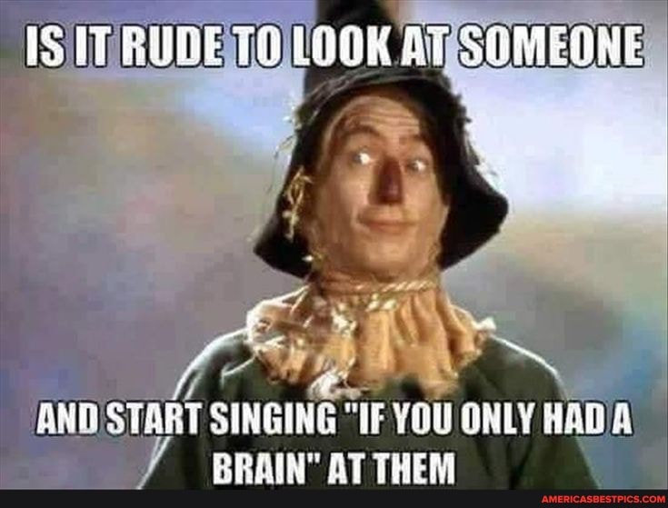 SIT RUDE TH SOMEONE
ANR START iNGE "IF YOU ONLY AAD BRAIN AT THEM