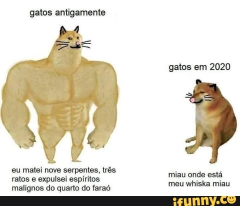 gatos antigamente