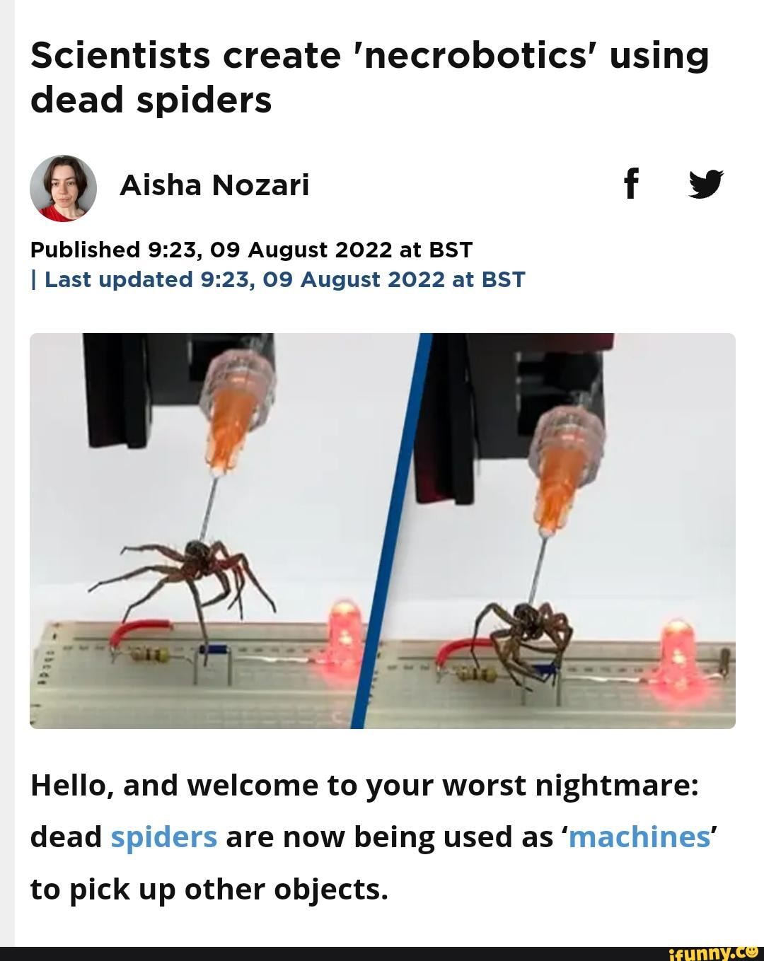 Scientists create 'necrobotics' using dead spiders Aisha Nozari f ww