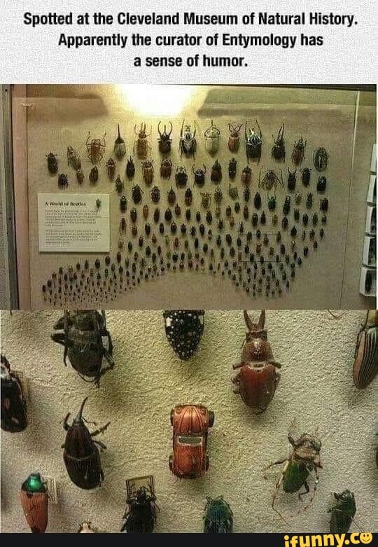 Spotted at the Cleveland Museum of Natural History.
Apparently the curator of Entymology has
a sense of humor.
