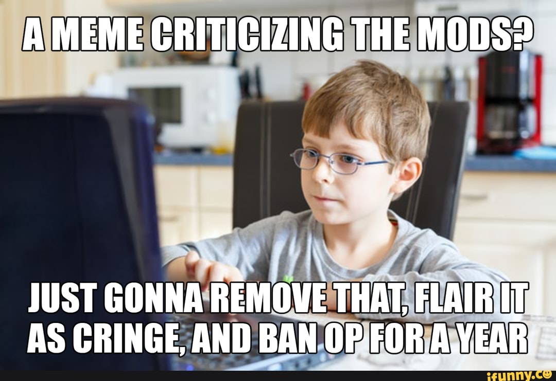 A MEME CRITICIZING THE MODS? JUST GONNA REMOVE THAT, FLAIR I AS CRINGE ...