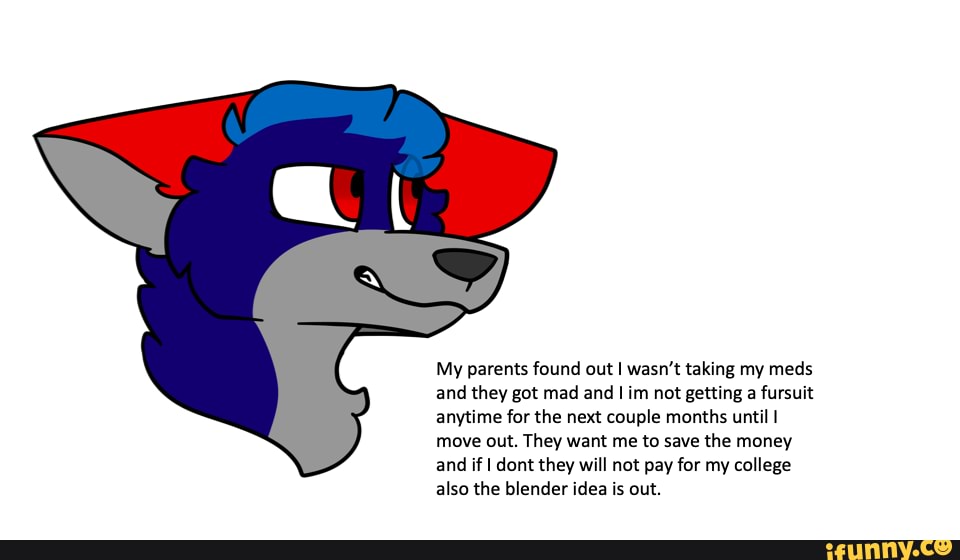 My parents found out I wasn’t taking my meds
and they got mad and I im not getting a fursuit
anytime for the next couple months until I
move out. They want me to save the money
and if I dont they will not pay for my college
also the blender idea is out.