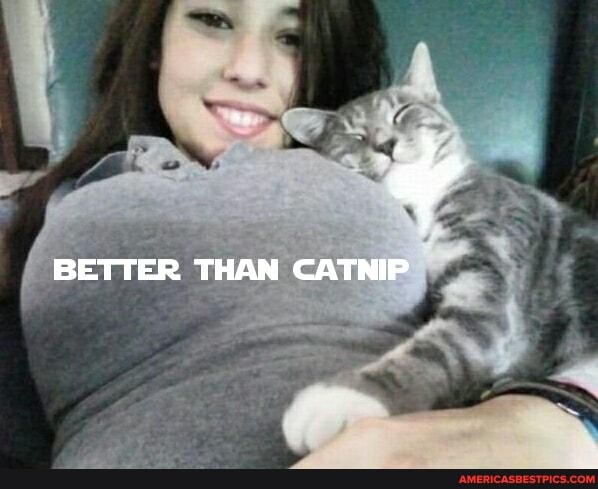 BETTER THAN CATNIP