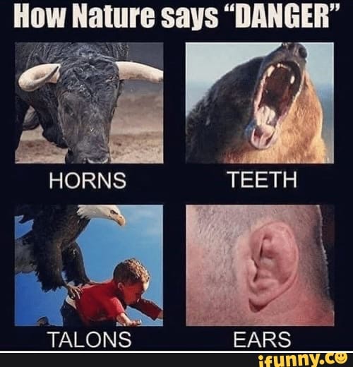 drivhus Forbedring nationalsang How Nature says "DANGER" - )