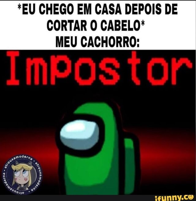 *EU CHEGO EM CASA DEPOIS DE CORTAR O CABELO*
MEU CACHORRO: