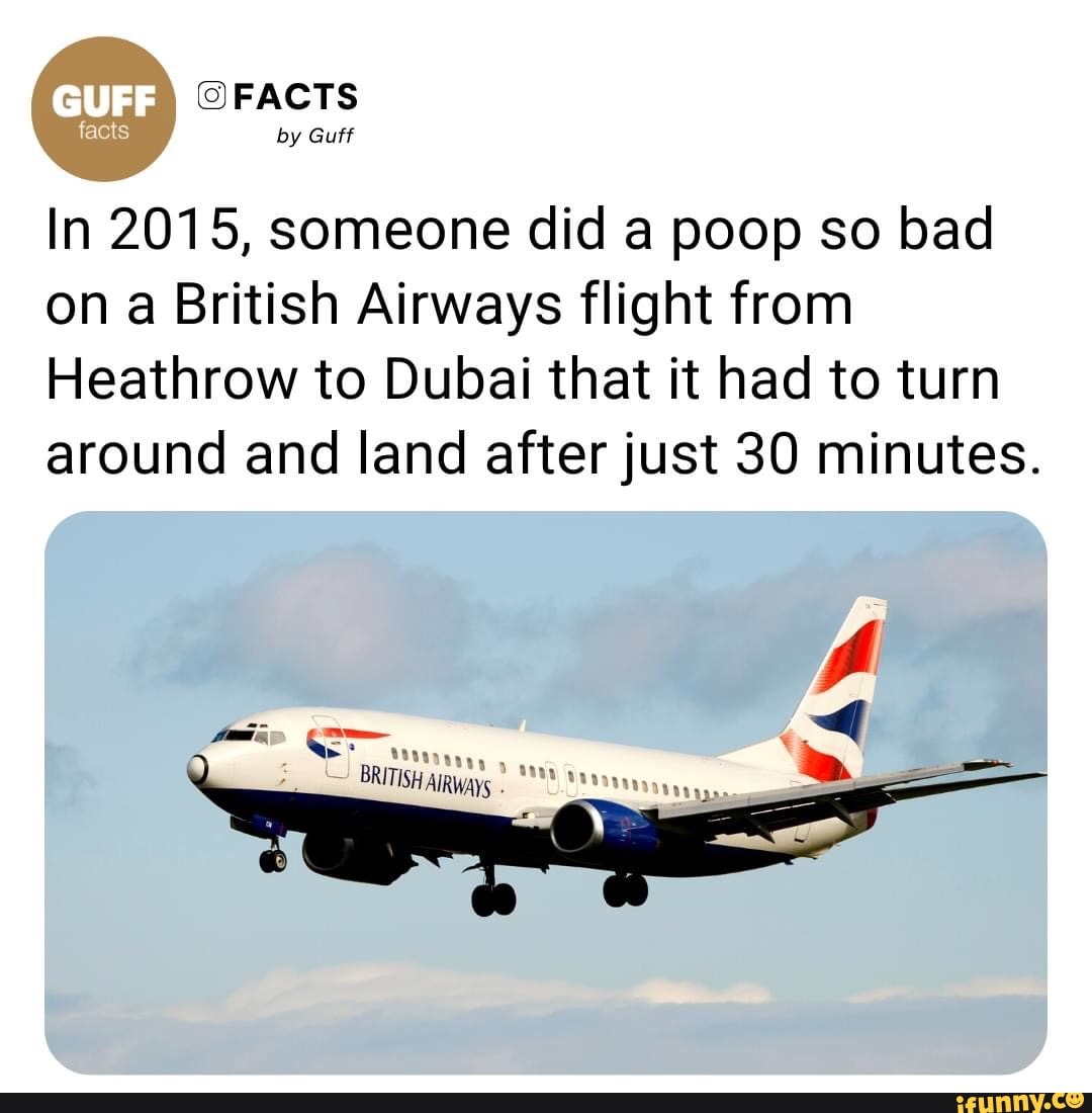 Facts By Guff In 2015, Someone Did A Poop So Bad On A British Airways 