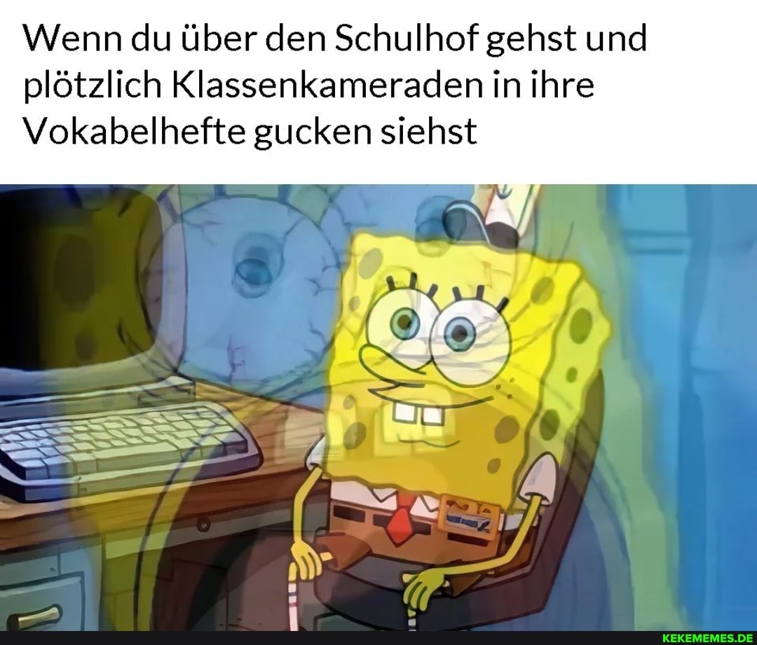 Wenn du über den Schulhof gehst und plötzlich Klassenkameraden in ihre
Vokabelhefte gucken siehst
IISS II