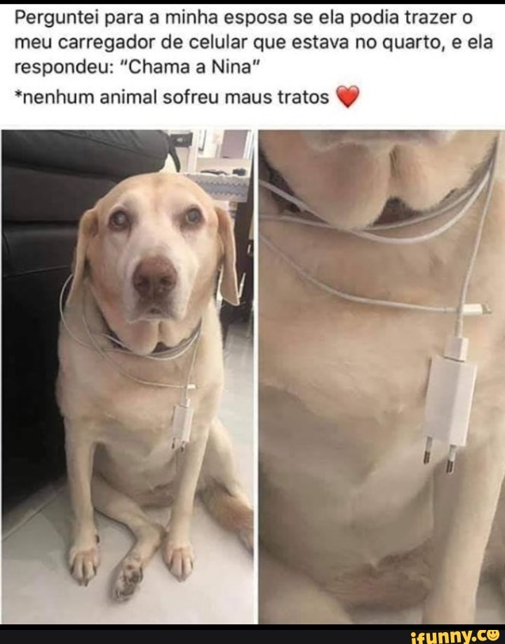 Perguntei para a minha esposa se ela podia trazer meu carregador de celular que estava no quarto, e ela respondeu: "Chama a Nina"
*nenhum animal sofreu maus tratos