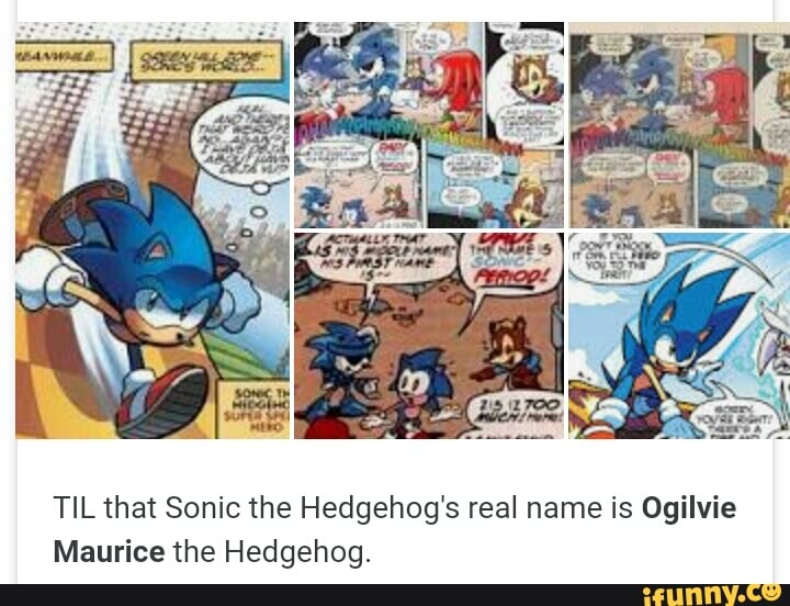 TILthat Sonic The Hedgehog's Real Name Is Ogilvie Maurice The Hedgehog ...