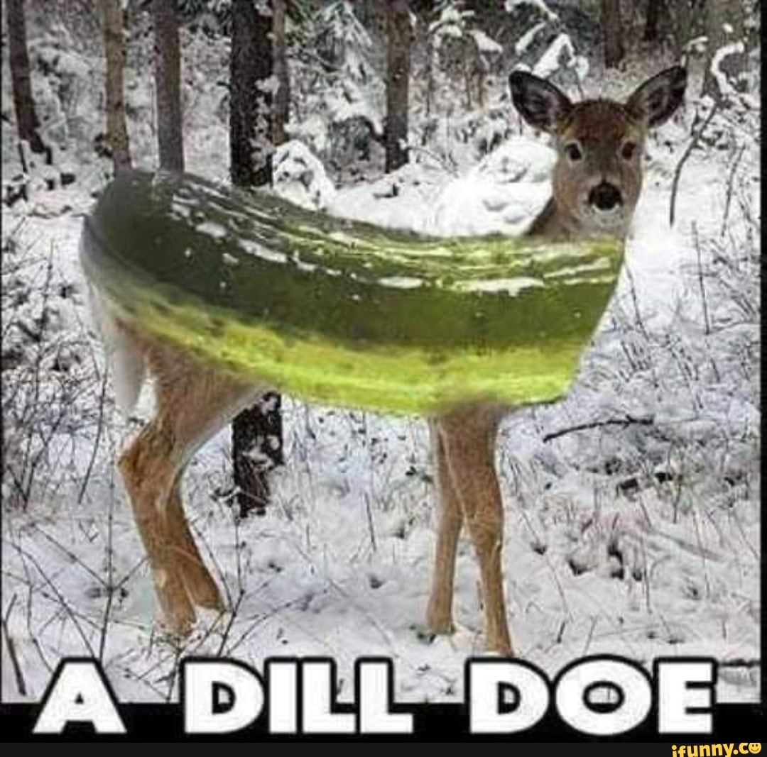 Dilldoe memes. Best Collection of funny Dilldoe pictures on iFunny
