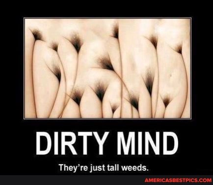 DIRTY MIND
They're just tall weeds.