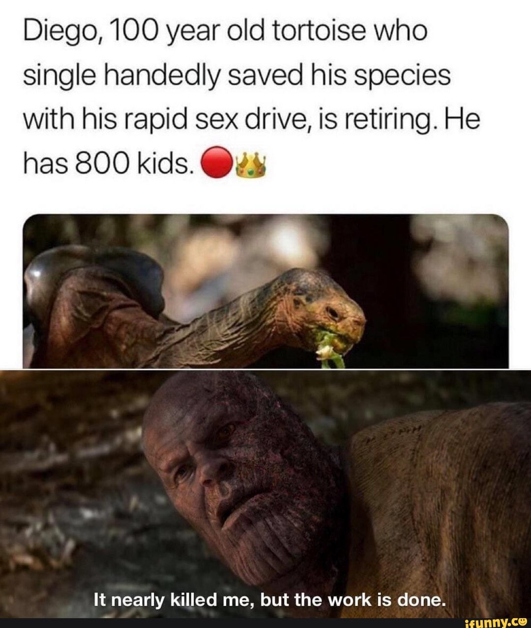 Diego, 100 year old tortoise who
single handedly saved his species
with his rapid sex drive, is retiring. He
has 800 kids. Os
It nearly killed me, but the work is done.