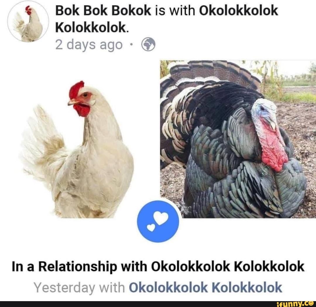 Bok Bok Bokok is with Okolokkolok
7
Kolokkolok.
O
In a Relationship with Okolokkolok Kolokkolok
Yesterday with Okolokkolok Kolokkolok