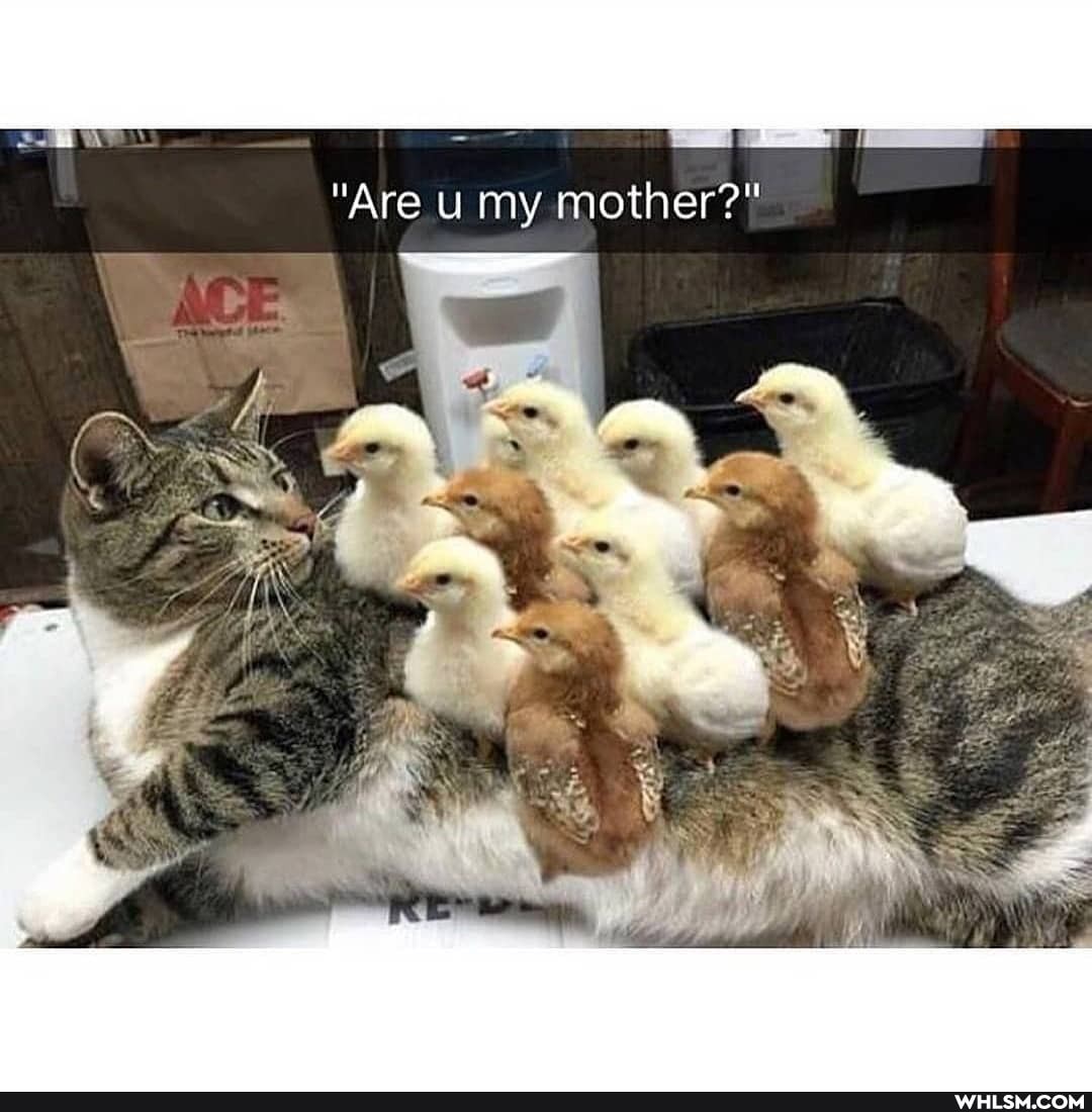 "Are my mother