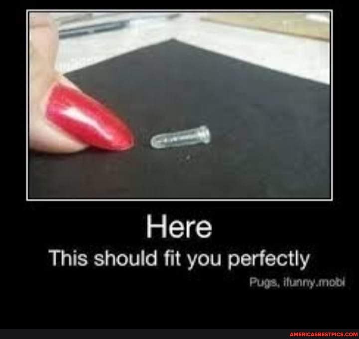 Here
This should fit you perfectly