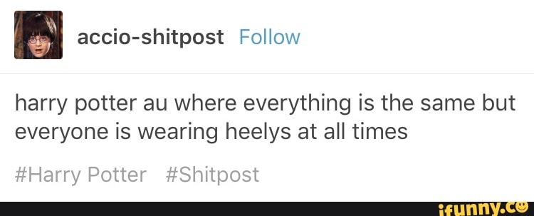 harry potter heelys