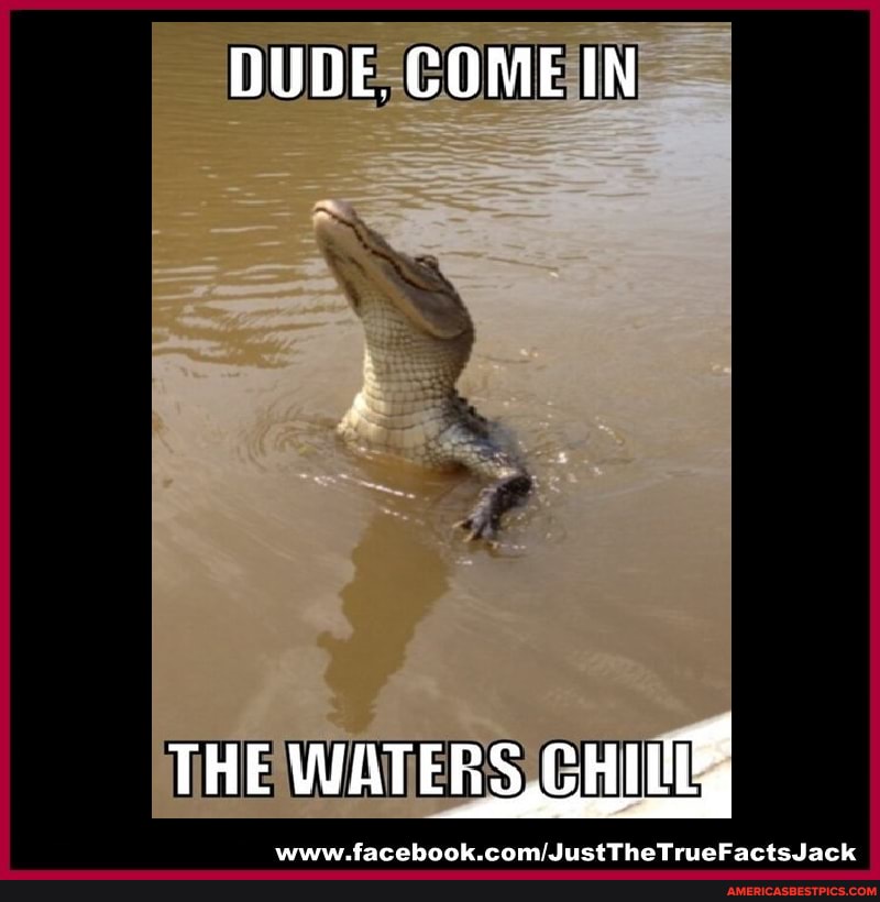 DUDE. COME IN
THE WATERS,
tarahank ram/! lictThattriickarte lack