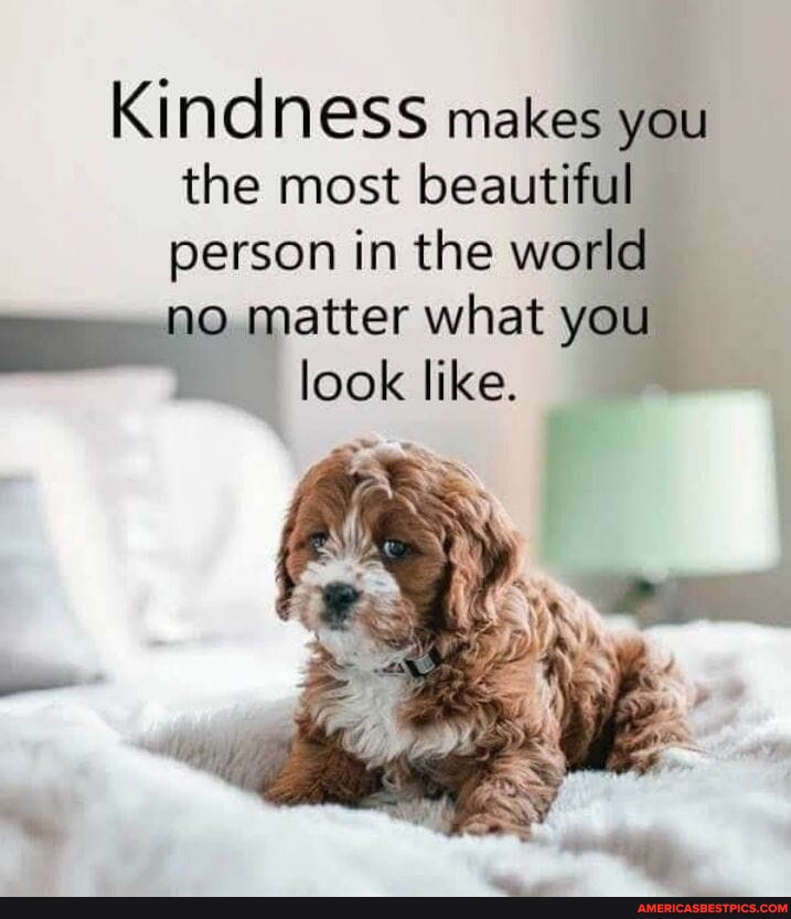 Kindness makes you the most beautiful person in the world no matter ...