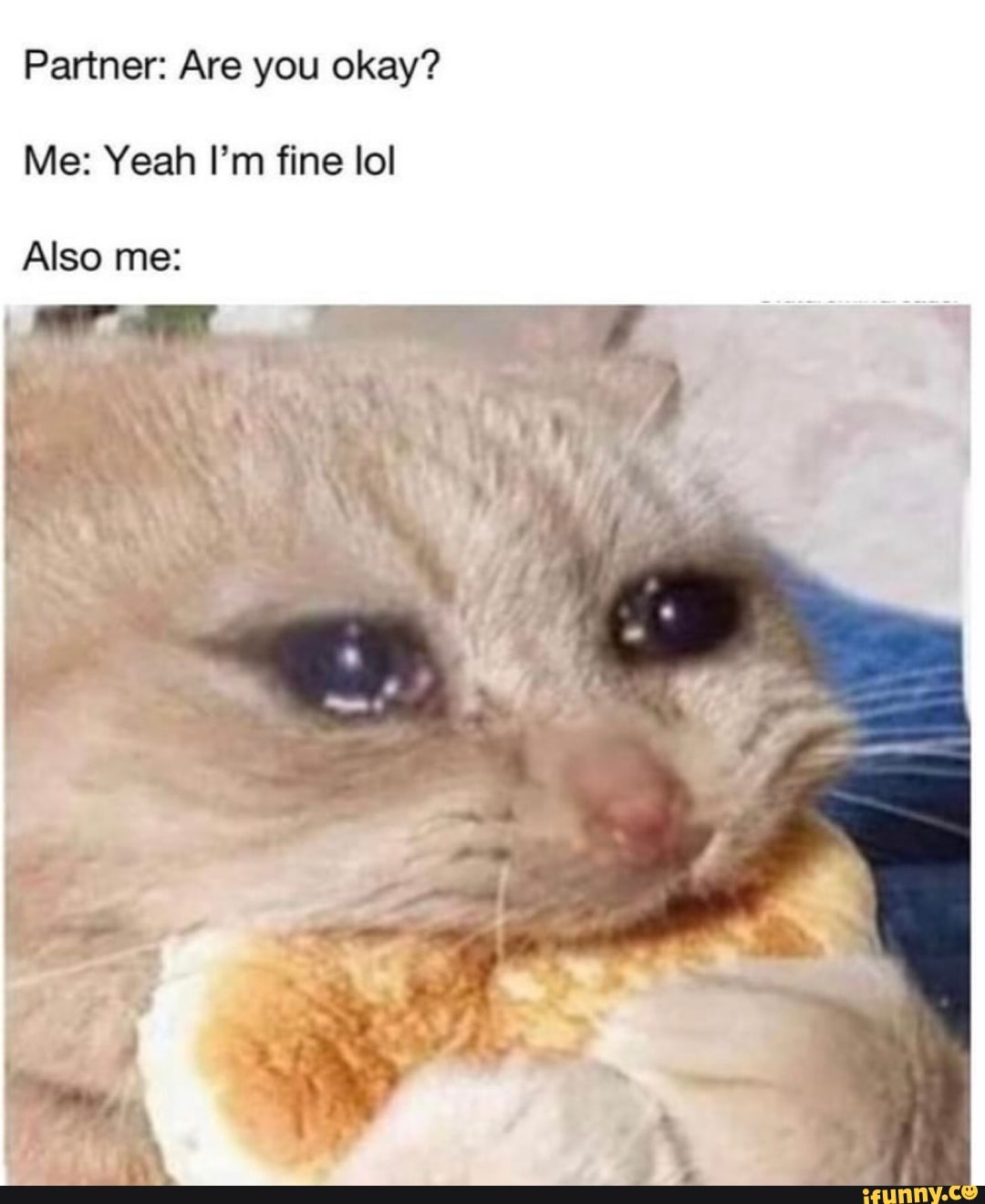 Partner: Are you okay?
Me: Yeah I'm fine lol
Also me:
