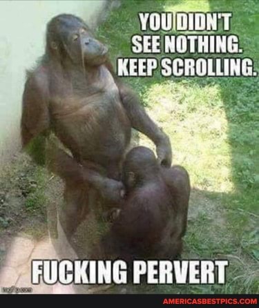 YOUDIONT SEENOTHING.-
KEEP SCROLLING:
PaEUCKING PERVERT