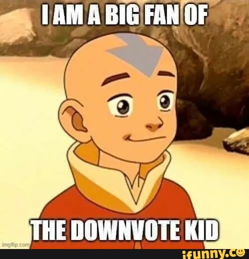 THE DOWNVOTE KID