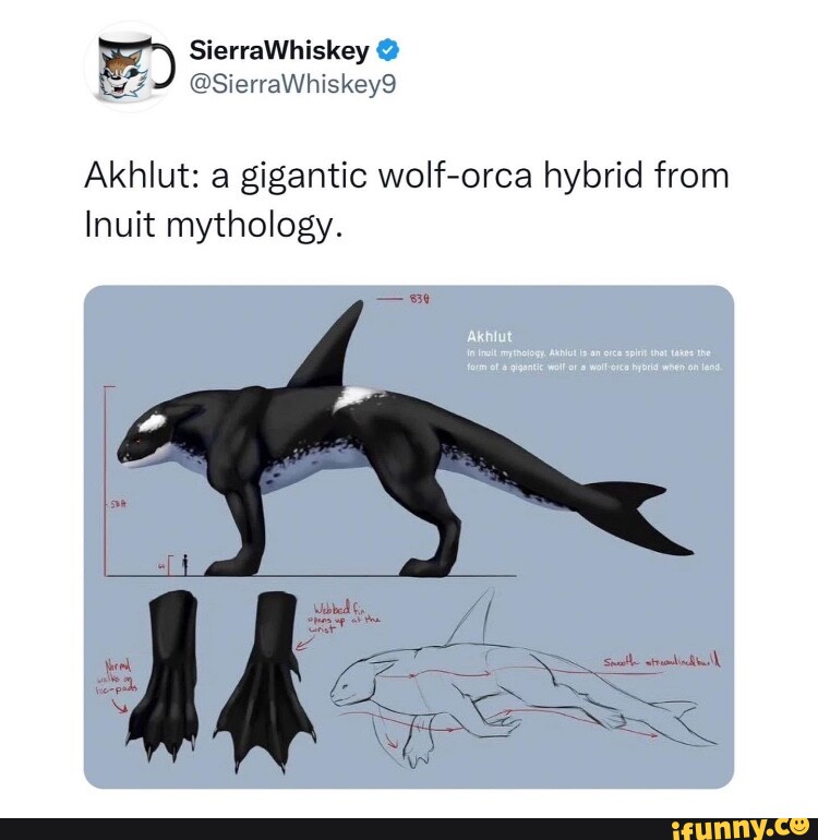 Akhlut: A Gigantic Wolf-orca Hybrid From Inuit Mythology. - IFunny