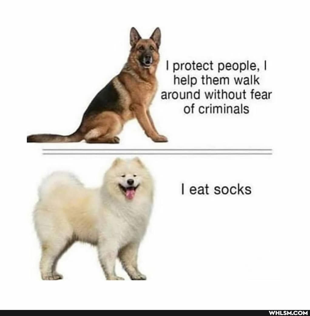 I protect people, I
help them walk around without fear of criminals
I eat socks