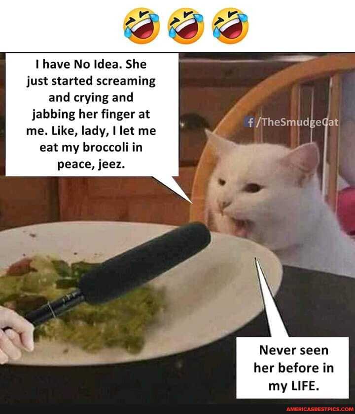 have No Idea. She just started screaming and crying and jabbing her finger at me. Like, lady, let me eat my broccoli in peace, jeez.
TheSmudgeGat
Never seen
her before in my LIFE.