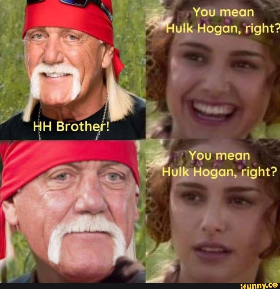 You mean Hulk Hogan, right? Brother! I You mean Hulk Hogan, right? - )