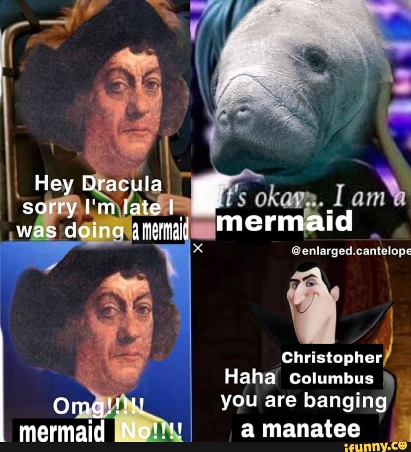 Hey Dracula sorry I'm late
was doina aneta? Mermaid
inrlargedd cantelope
Christopher
Haha columbus
you are banging
mermaid Not!!! a manatee